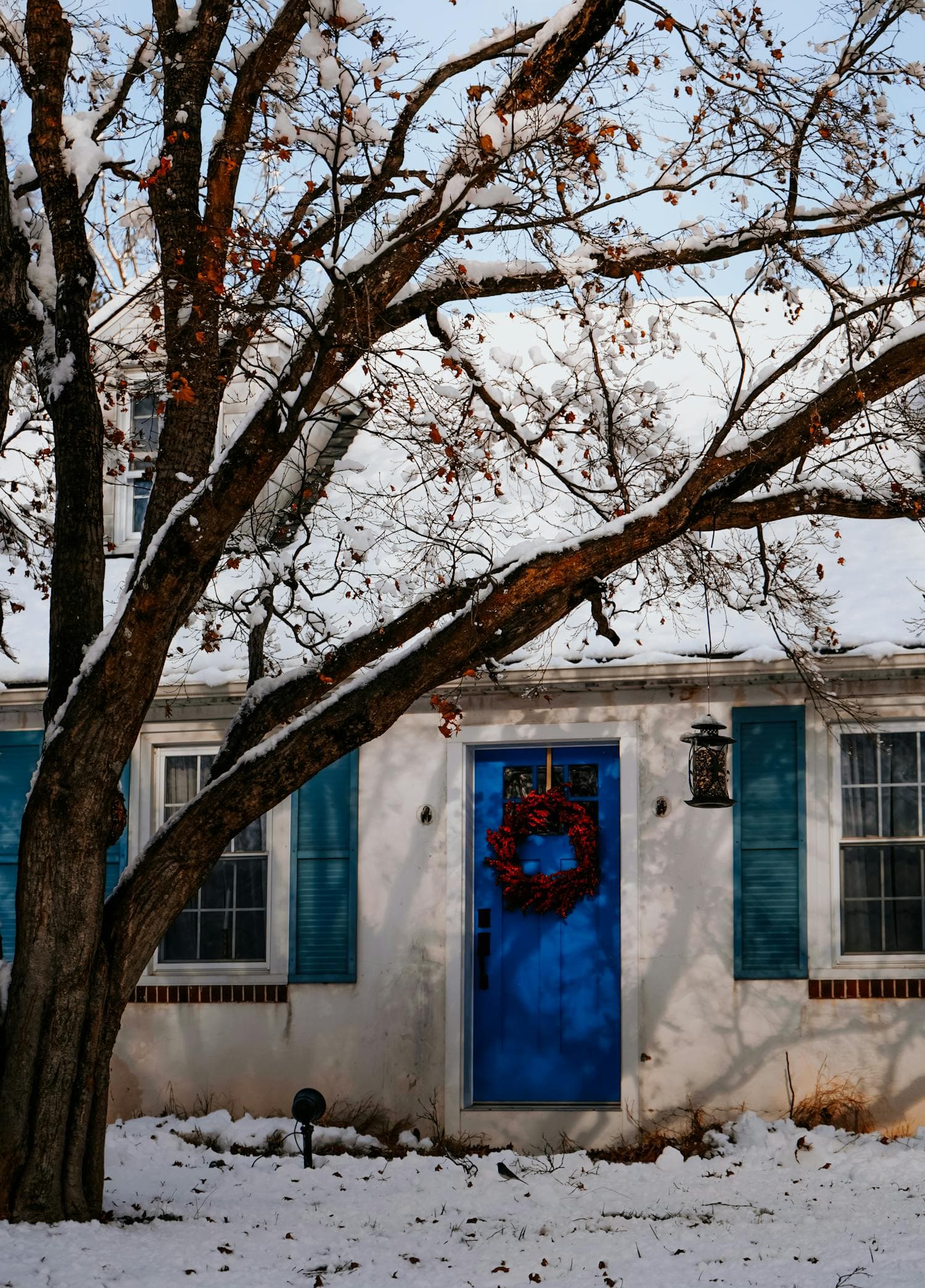 A snow-covered cottage in winter with a vibrant blue front door wearing a fresh evergreen wreath, white clapboard siding, and a soft fresh layer of snow on the roof and front yard, the quintessential restrained New England Christmas exterior