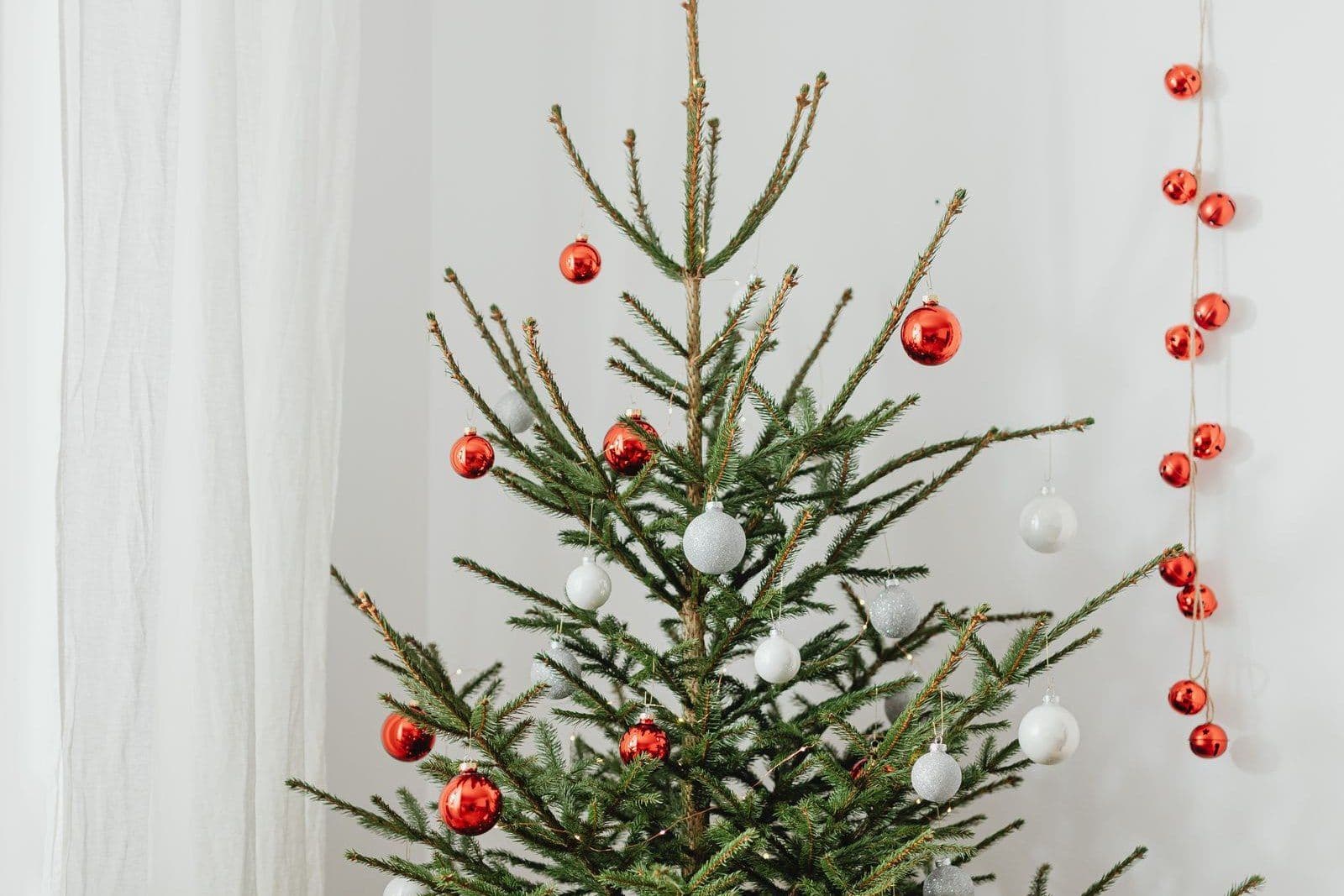 A slim real fir Christmas tree hung with sparse red and white baubles, standing against a plain white wall in natural daylight