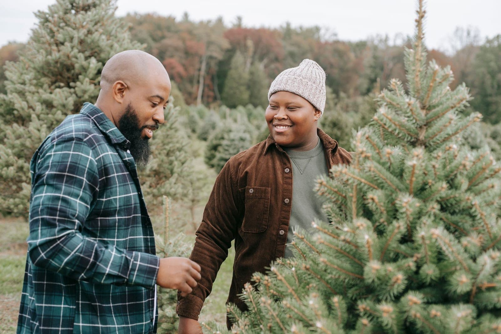 Two people in flannel and corduroy jackets smiling as they inspect the branches of a young spruce at a choose-and-cut Christmas tree farm